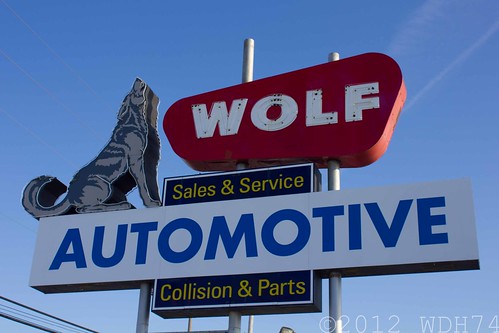 Wolf Automotive by William 74