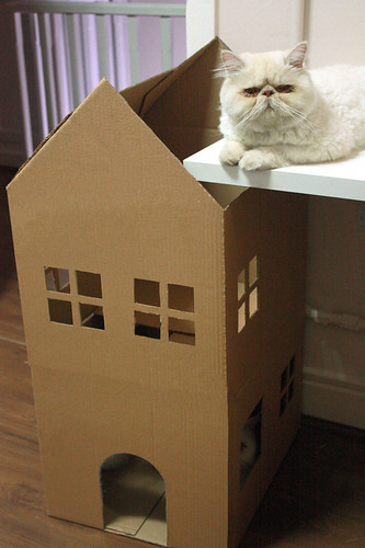 Faça um playground para gatos com caixas de papelão