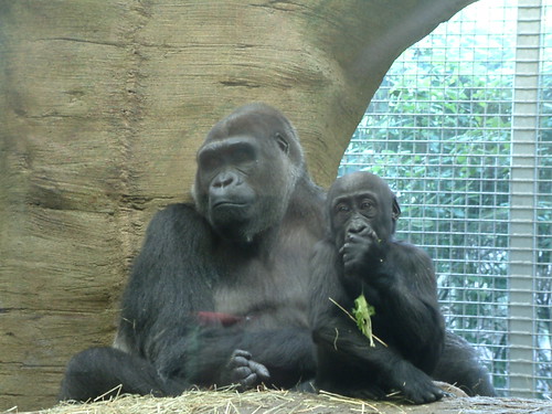 Mom and Daughter. by Sunshine Gorilla