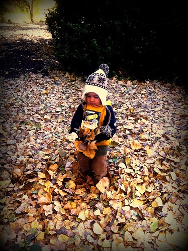 Playing with leaves