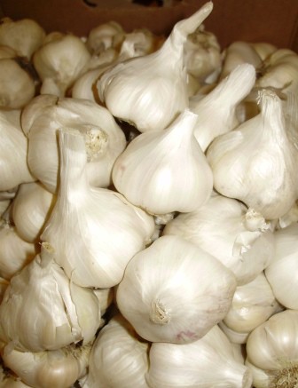 Garlic!