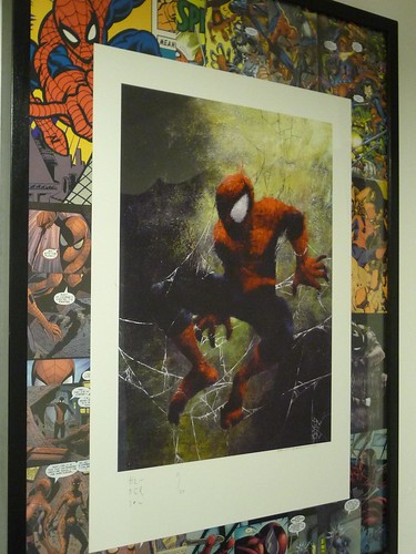 Spiderman print