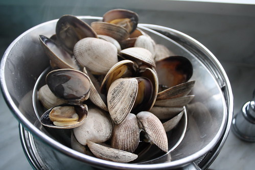 clam chowder