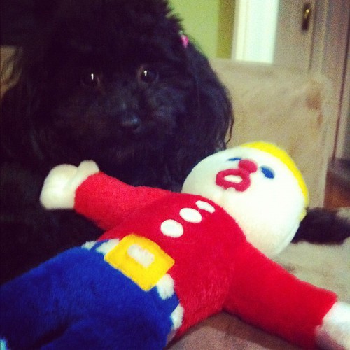 Day 232: Scouter's favorite toy is Mr. Bill - and yes, he does make sound. "Oh nooooooooo" by lalasappy