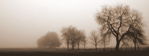 Sepia Fog