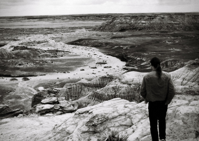 1990, Painted Desert/Petrified Forest