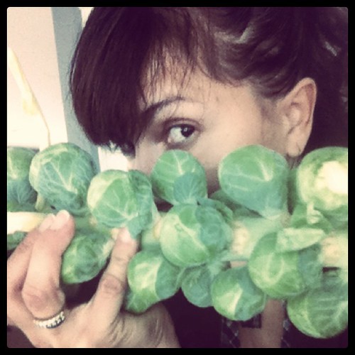 Stop the H8. Brussell sprouts are NOT yucky!! by Angel Aviles McClinton