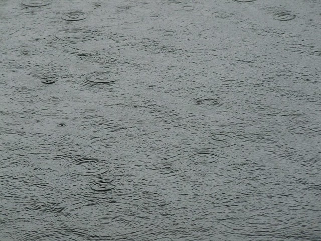 25455 - Yet more rain!!
