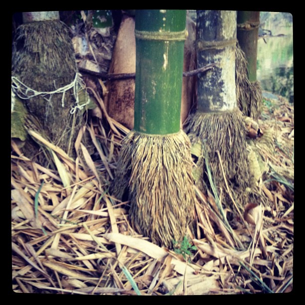 Pie de Bambú