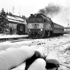 MÁV - The Hungarian State Railways