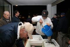 Trobada de calamares 2012