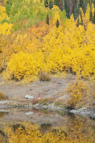 Reflections of fall... with a splash of red! Colorado, 2011 by toryporter (back... FAR behind!)