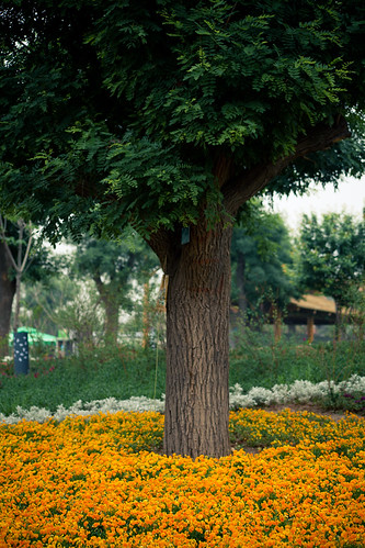 Xi'an International Horicultural Expo 2011