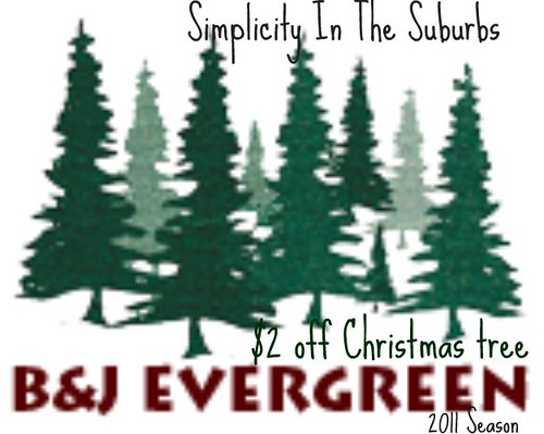 BJ Evergreen Coupon 2011