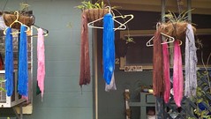 I have the oddest hanging plants on the block.