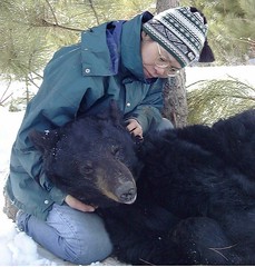 長期野外研究黑熊是保育成功的重要基礎