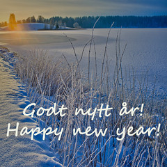Godt nytt år! / Happy new year!