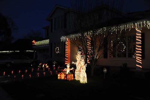 Palo Alto Christmas Tree Lane