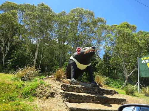 big tasmanian devil
