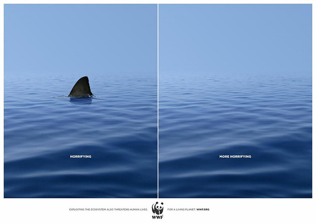 WWF World Wildlife Fund Ad - sharks are much more likely to be killed by humans than the other way round
