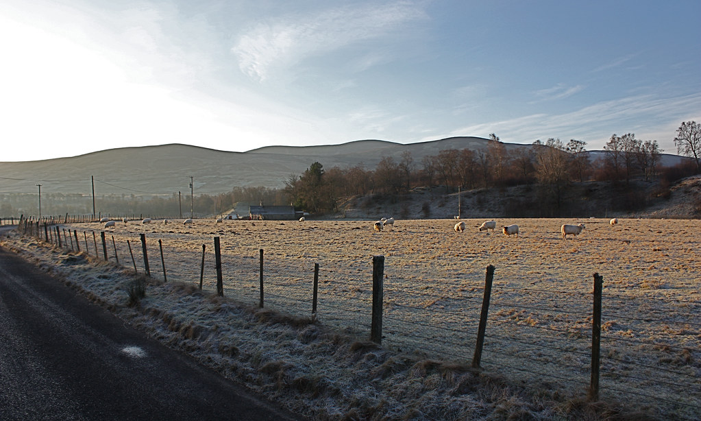 Morning frost in Glen
Esk