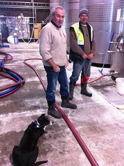 Kevin Judd (c) with his dog and cellar assistant