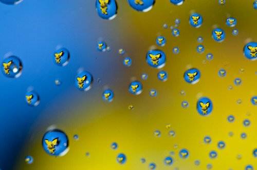 27/365 - Pichu bubbles by JeffGamble