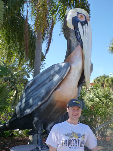 Me at Suncoast Seabird Sanctuary