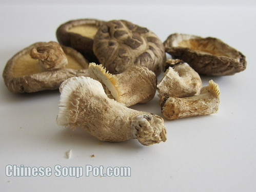 Photo of shiitake mushrooms