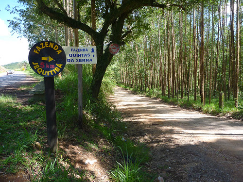Entrada para trilha dos Macaquinhos - Serra Negra