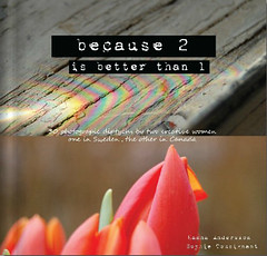Blurb book: because 2 is better than 1