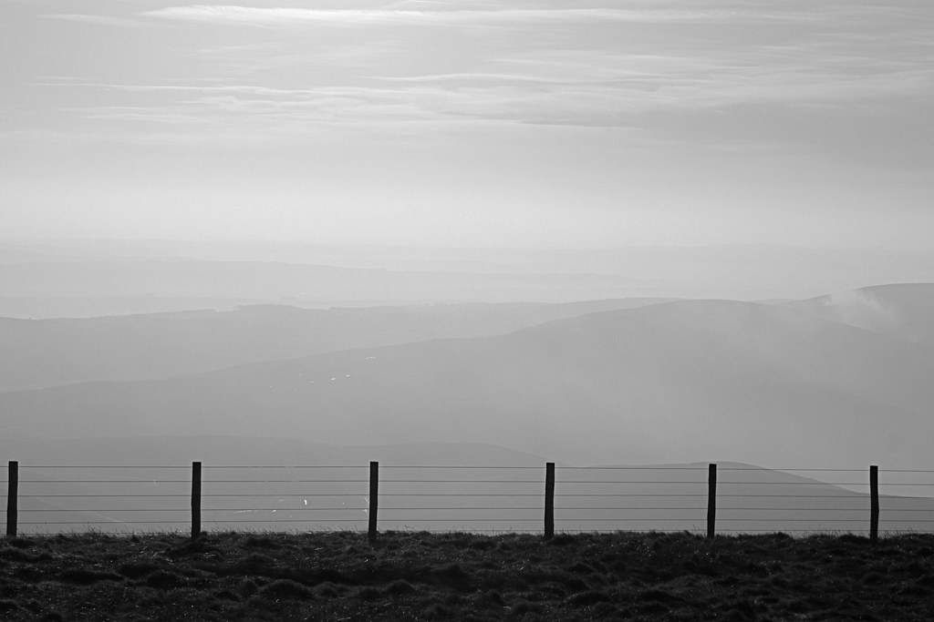 Mist beyond the
fence