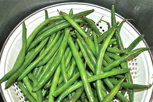 green beans washed