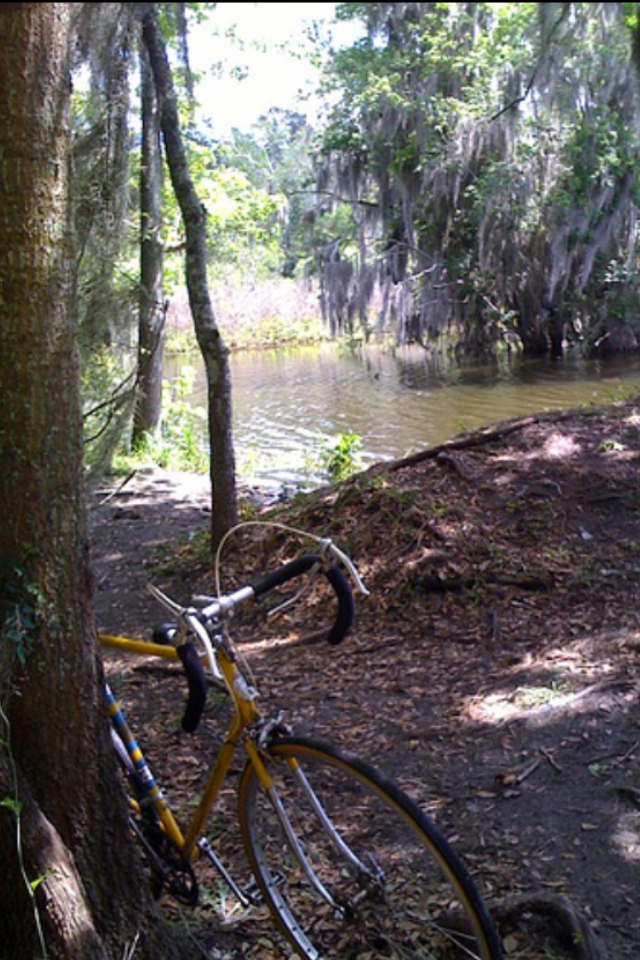 Dawes Galaxy bike by a lake full of alligators in Gainesville, FL