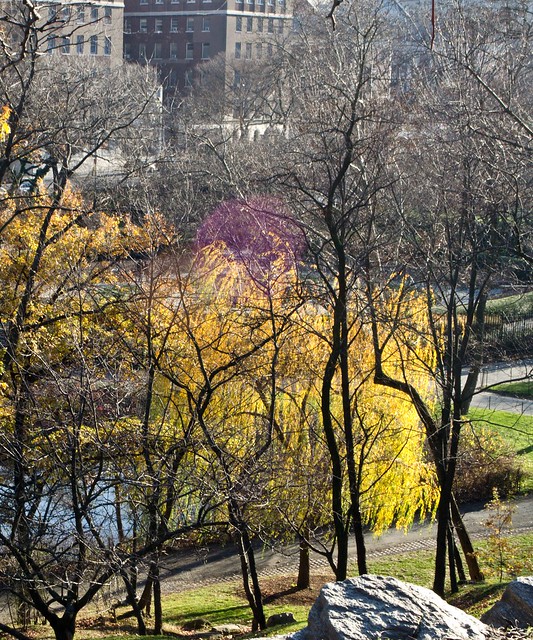 2011121159-cat harlem meer from the hill above i ncolor3DSC_0520.jpg