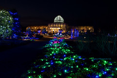 GardenFest of Lights at Ginter