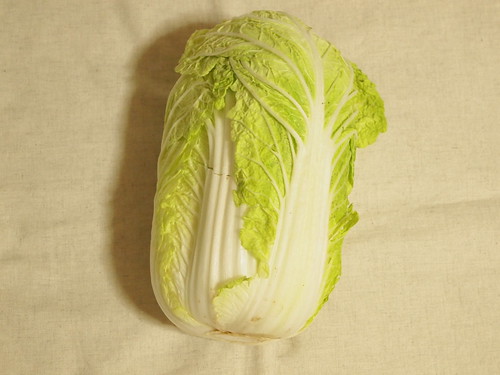 九州ふるさと農園の野菜　白菜