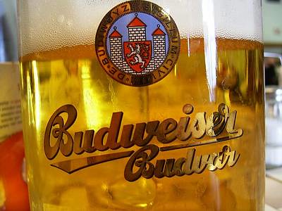 Budweiser Budvar in Glass