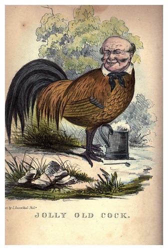 006-El alegre gallo viejo-The comic natural history of the human race (1851)- Henry Louis Stephens