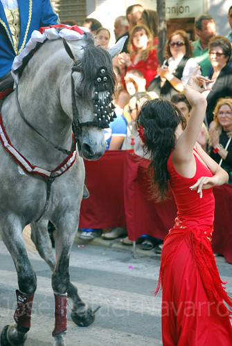 Dances with Horses / Bailando con Caballos