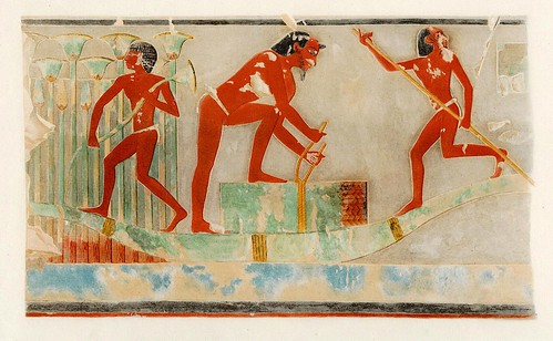 012-Barqueros recolectando papiros-The tomb of Puyemrê at Thebes  1922-1923- Norman de Garis Davies- © Universitätsbibliothek Heidelberg