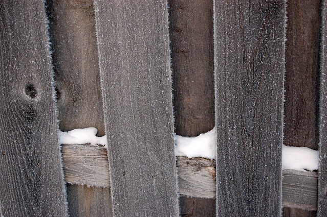 Frosty Fence