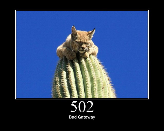 502 - Bad Gateway