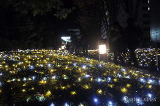 Shinjuku Christmas illuminations