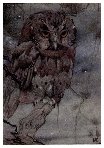 012-Desventuras de un buho-Birds and beasts 1911- Edward Detmold