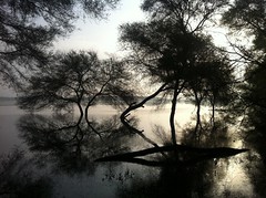 iPhone - Ahmedabad ,Thol Lake