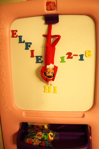 Elfie-hanging-upside-down