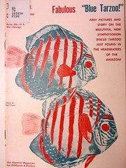 Satirical publication "Discus" in NMNH