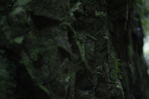 Wednesday: Moss cliff face