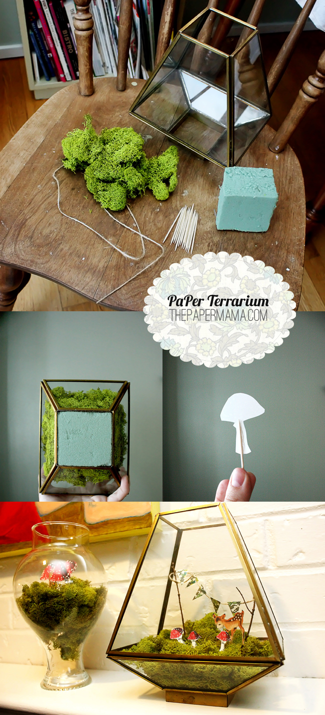 Paper Terrarium Tutorial